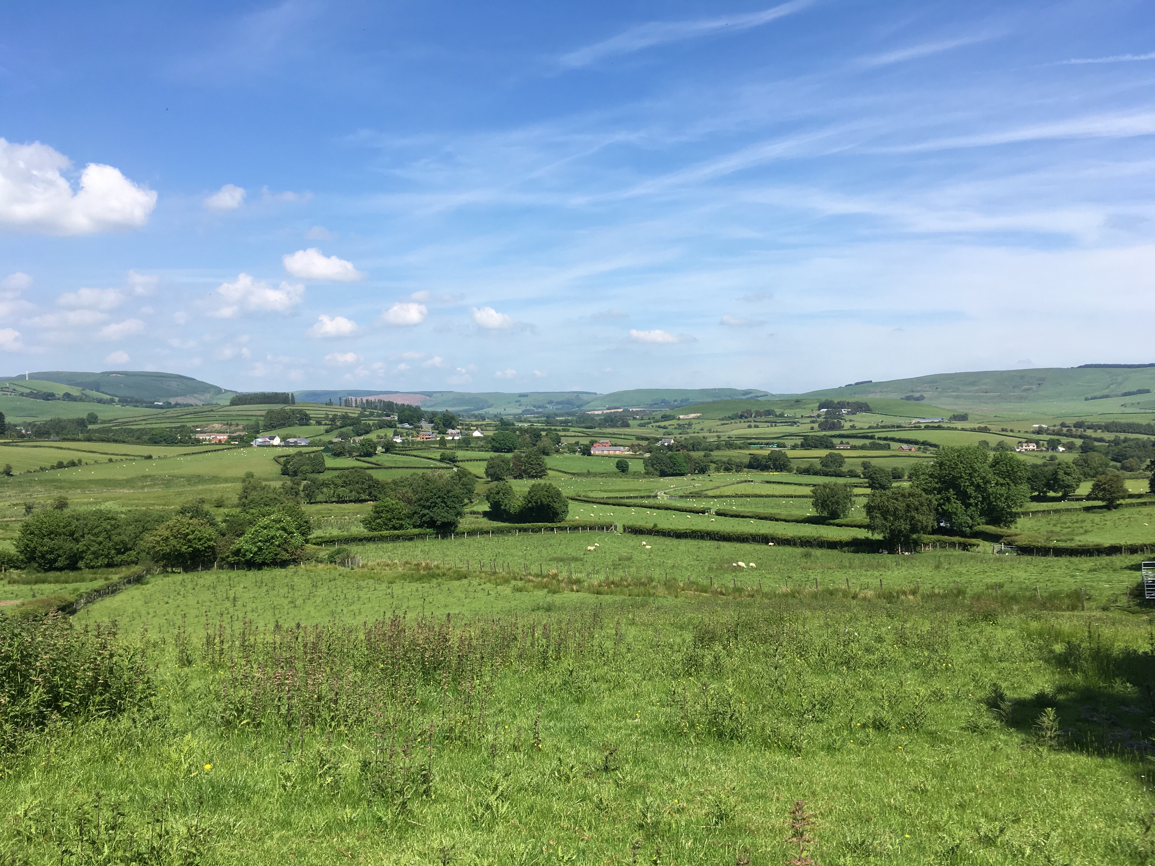 Looking out from the interview room at Maenllwyd